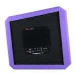 DL Audio Piranha 15A V.2 Purple