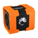 DL AUDIO Piranha 12A Twin V.2